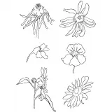 Silikonstempel, Sommer, Blatt 11x15,5 cm, 1 Bl.