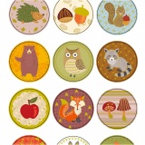 Sticker, Waldtiere, Blatt 10x23 cm, 1 Bl.