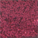Glitzerkleber, Pink, 25 ml/ 1 Fl.