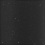 Glitzerkleber, Schwarz, 118 ml/ 1 Fl.