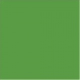 Plus Color Bastelfarbe, Hellgrün, 250 ml/ 1 Fl.