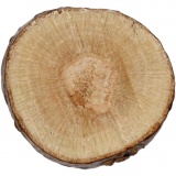 Holzscheiben - Sortiment, D 7-10 mm, Dicke 4-5 mm, 230 g/ 1 Pck
