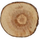 Holzscheiben - Sortiment, D 10-15 mm, Dicke 5 mm, 230 g/ 1 Pck