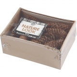 Tannenzapfen, D 40 mm, ca. 14 Stk, 300 g/ 1 Pck