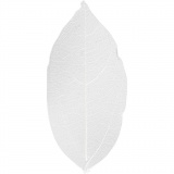 Laubblätter, L 6-8 cm, Weiß, 20 Stk/ 1 Pck