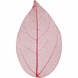Laubblätter, L 6-8 cm, Rot, 20 Stk/ 1 Pck