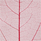 Laubblätter, L 6-8 cm, Rot, 20 Stk/ 1 Pck