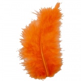 Daunen, Größe 5-12 cm, Orange, 15 Stk/ 1 Pck