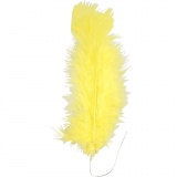 Federn, L 11-17 cm, Gelb, 18 Bündl./ 1 Pck